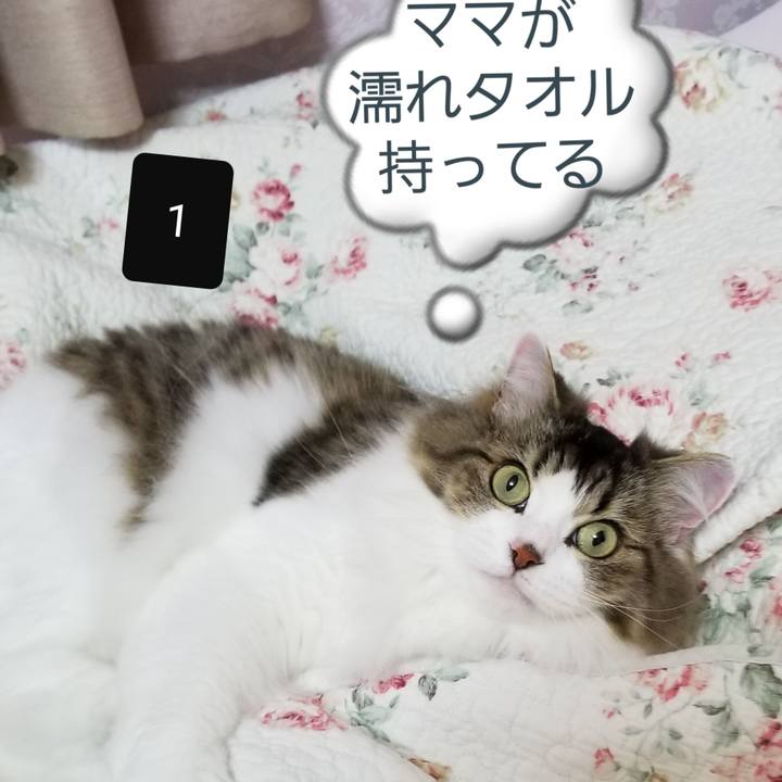 9984ccd6 5f57 42d3 9d2e 0cbf33940acd 1564896495586