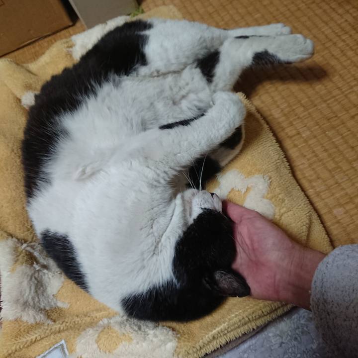 9984f85f 38cf 40ff 9b6d 8f89e0999ff6 1647427909941