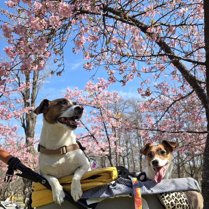 9984ffc6 5adc 49d6 bafb 481616c3f98d 1772284704020