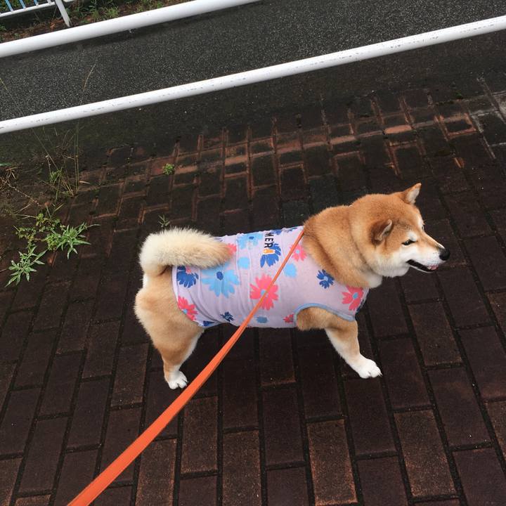 99850470 18ff 49e6 a3c5 df44ed170452 1592548641550