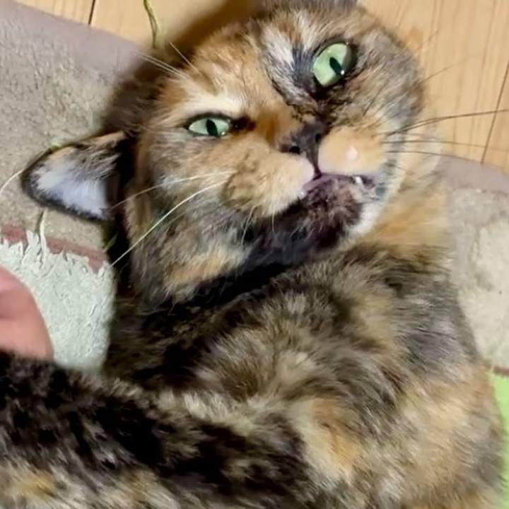 99851afa 8804 47b3 9319 ee52bf06e93d 1753135359759