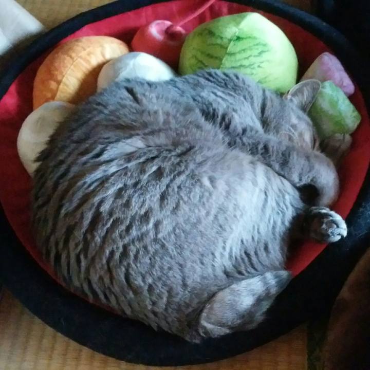 9985236f 6fd7 4b46 a226 ea2ddcf1a058 1589666343677