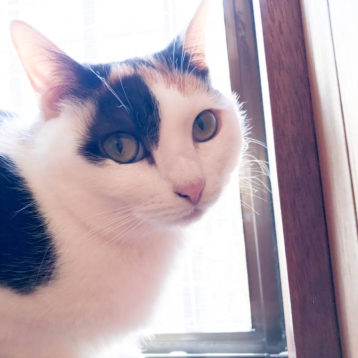 99855a29 4687 49ec 8676 2b6b8181dc85 1521249243740