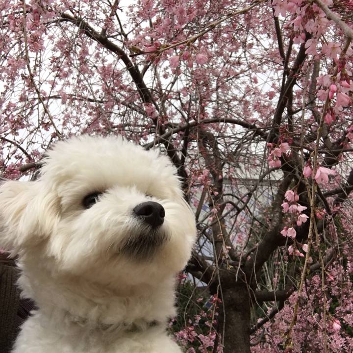 99856b23 ee51 4f40 add5 1265797a2757 1521640816027