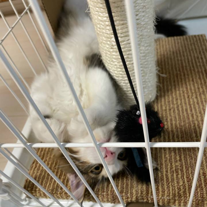 9985763a 8ae9 4996 9aba a5338eb9f9e5 1634812632890