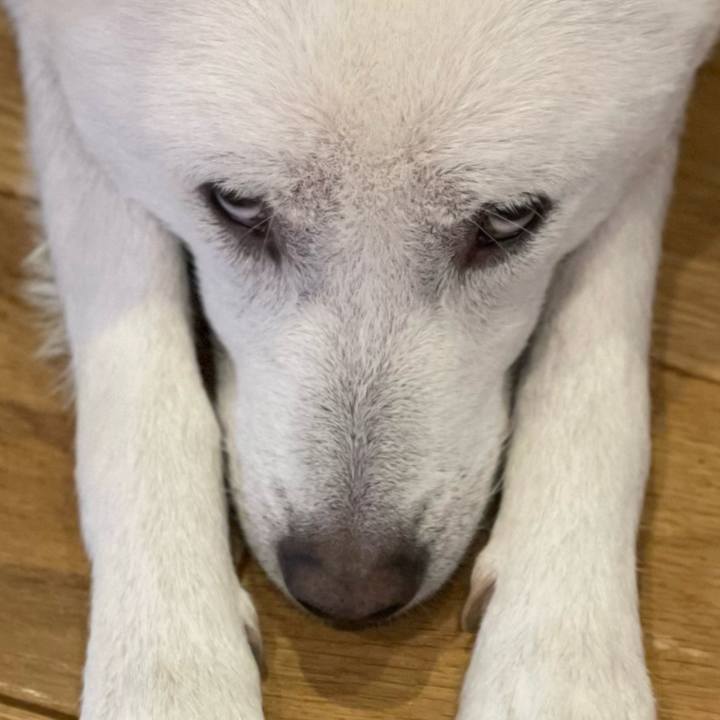 99857d89 dc85 4778 9765 a759094906e3 1710410886777