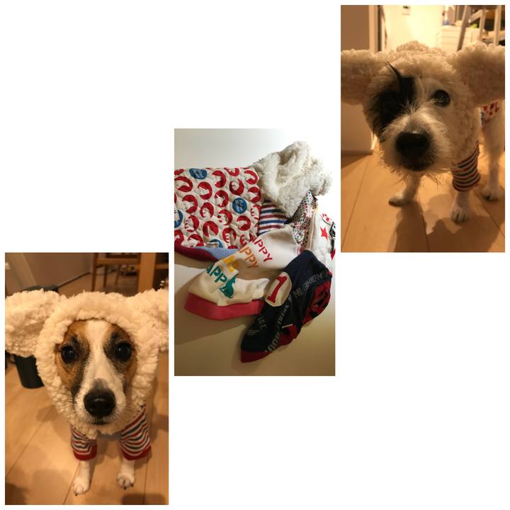 99858d5a 0f4a 47ac 94d7 0a684571f130 1509438584120