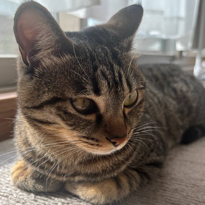 99859f36 cc57 41d9 96ce 4b6c52c1cb5b 1767149521216