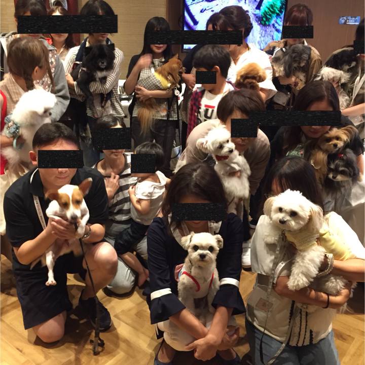 9985ad44 033b 4b4c 8595 46dba6870bf7 1537015282329