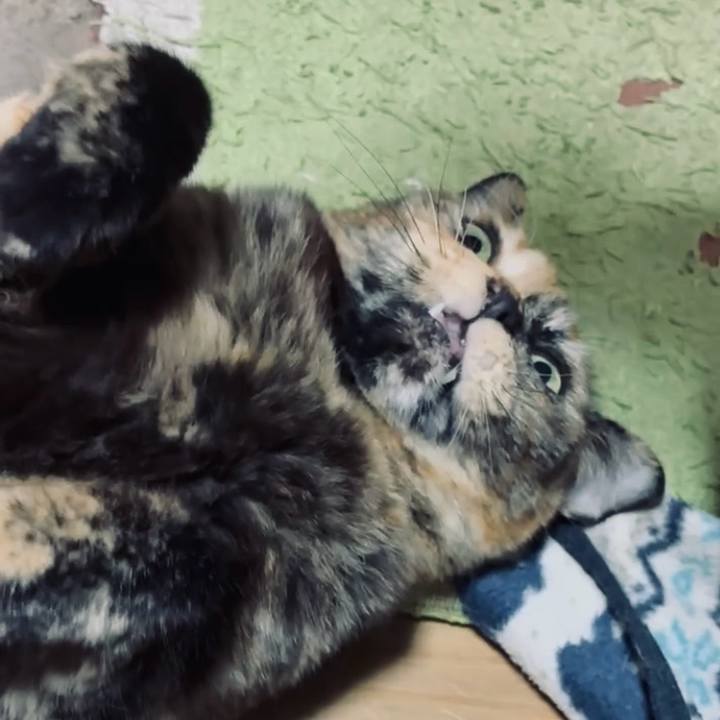 998614f6 4c19 4699 9948 73518e4bf772 1767991112986