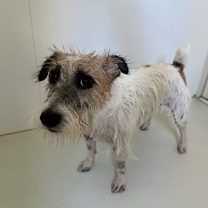 9986241e af57 434e a058 245ab0dafe6a 1693713557117