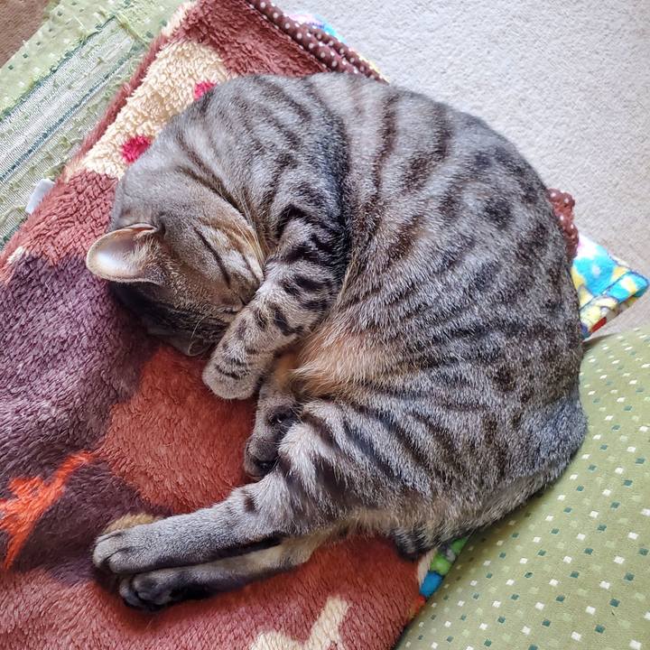 998626d8 de1b 4e62 85d8 1e96e5662c3d 1709823350016