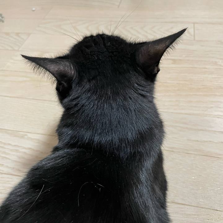 99864fcc 2c17 4dd3 98d0 699c297b6941 1752583154484