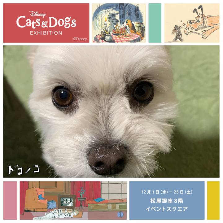 998663d2 7512 45f0 8a86 632d27b95a27 1638366887947