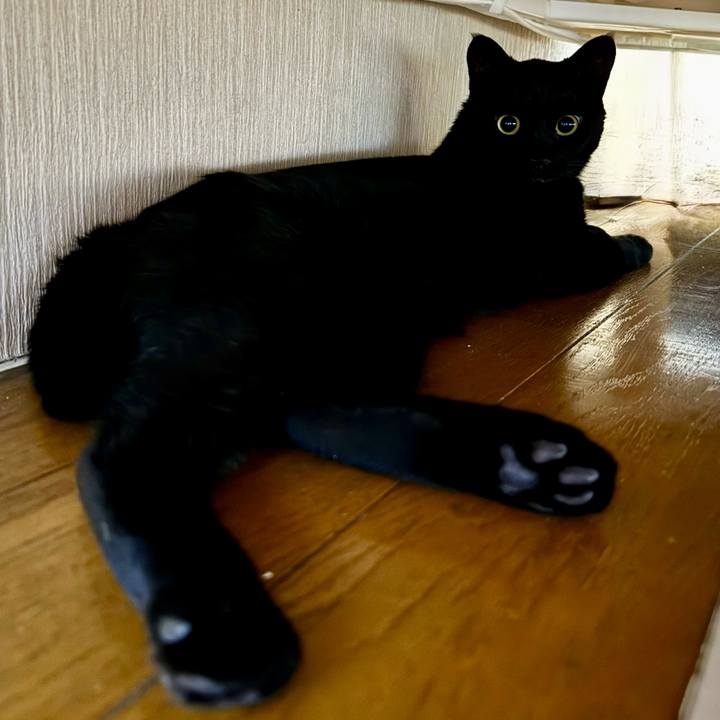 998673fd 36b5 4579 ae45 ad08067eef34 1756806526698