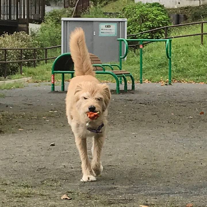 99867b12 eb55 4d60 8ba4 e549995a4bc3 1536724058370