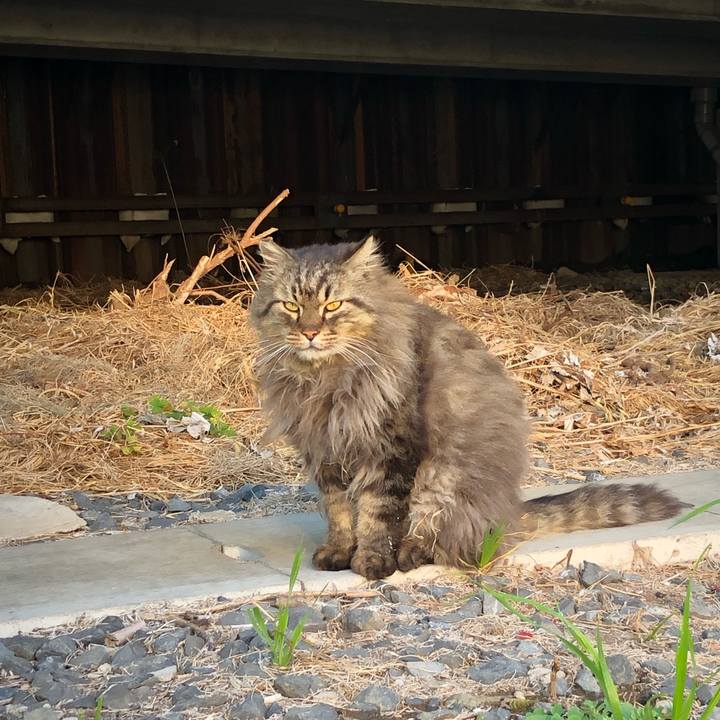 9986afb6 1167 430c b015 88c4096cc265 1552336460742