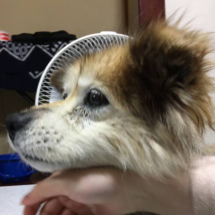 9986c46a 71eb 4367 936a f4d1ffd1d474 1563775532301