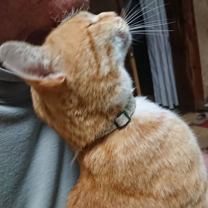 9986d08e 477d 441e 94cc 6a08a6a7718d 1589800482862