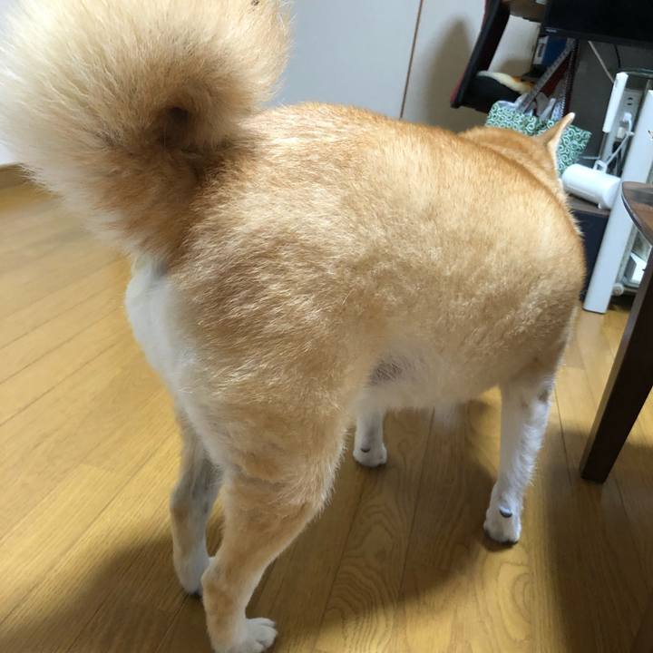 9986f2c7 29f2 4040 8f0c e6f6e50a7c74 1599703187220