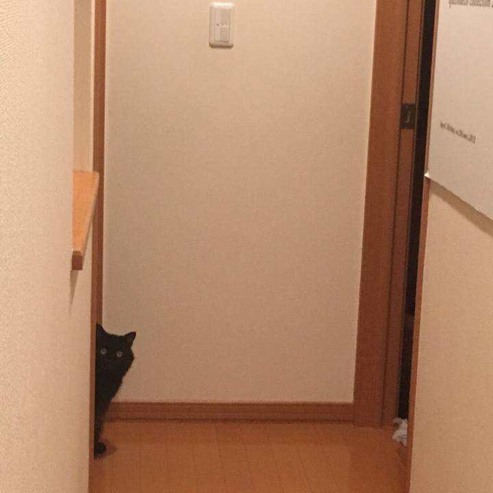 9987012d 7e18 438b 98df b5329b78c1cc 1535210060934