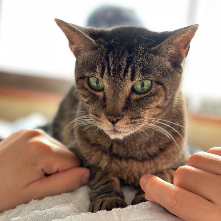 9987032d eab0 4aef aa8d a92fd2d05908 1628121018988