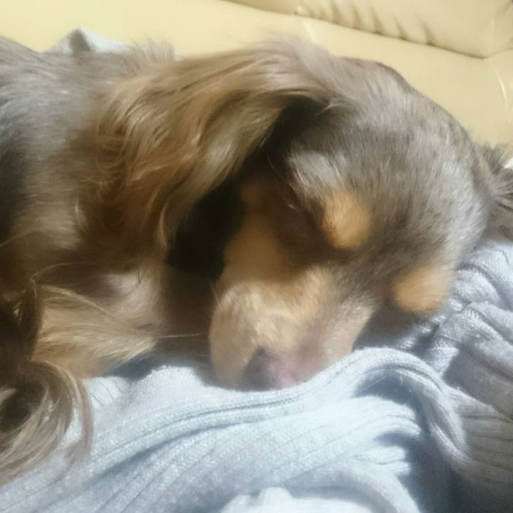 99873a55 4f5e 41f0 bc08 200d6352ee54 1521979142634