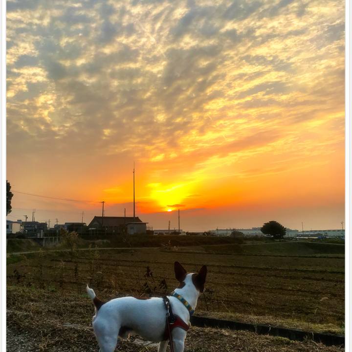 9987546b 118d 4ffa 9f6b 728b8c6707b7 1513417633171