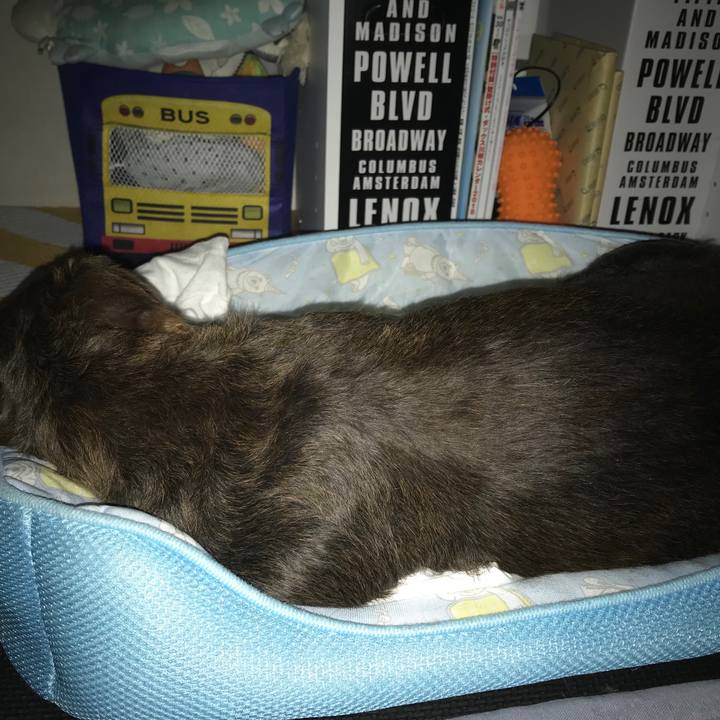 998755fc b538 4e62 b281 43ffe2bc823b 1528732512222