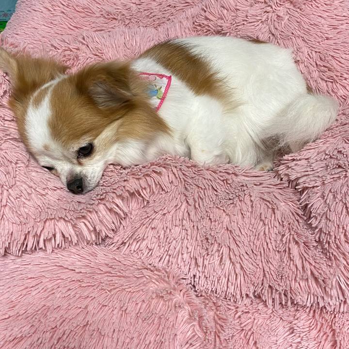 9987560a 1178 44a3 a7aa 50a55754cc10 1586709939979