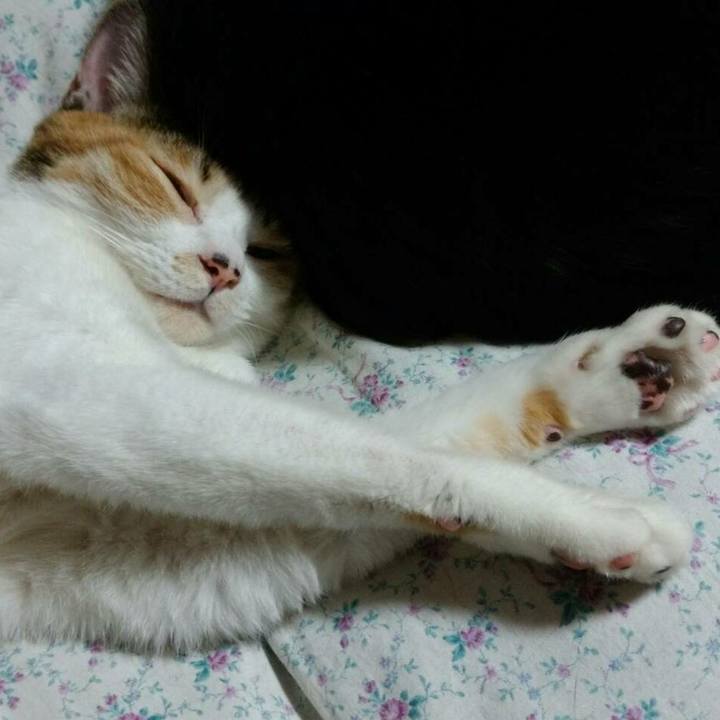 998781f4 18e7 4285 8bff 24b9f4ee2622 1517406902398