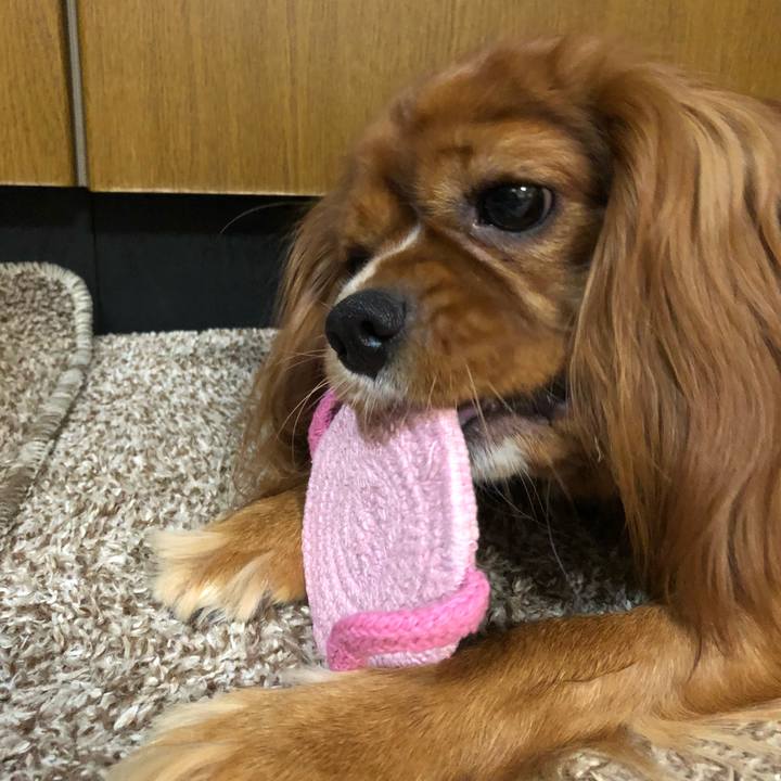 9987932a f39b 43a4 87f2 74ffc707a8aa 1537878040465