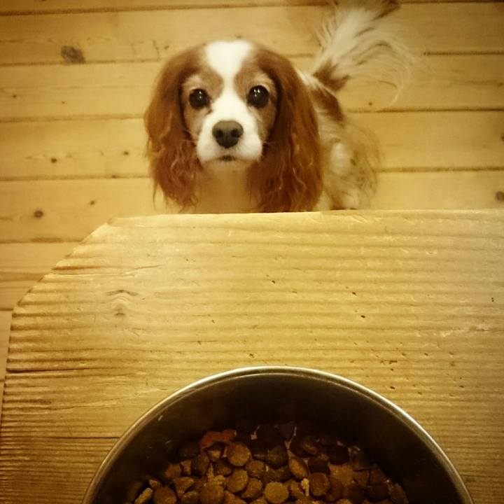 9987bdc5 90a6 459a bac4 548fd51cde8c 1519638797278