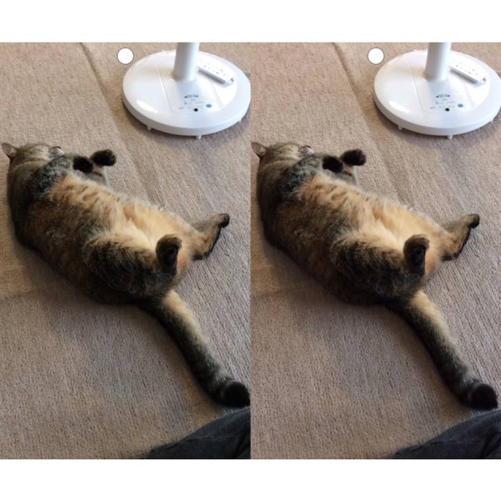 99882c0c 1094 4e51 b1c2 a378d37c41f5 1561690347625