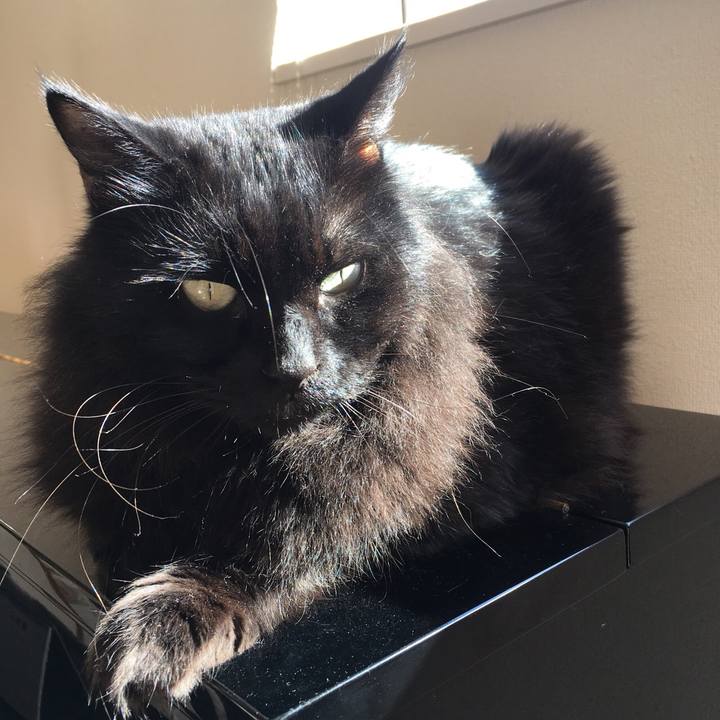 99886a70 a3f9 459a 8b74 51339e9b39ba 1572348764052