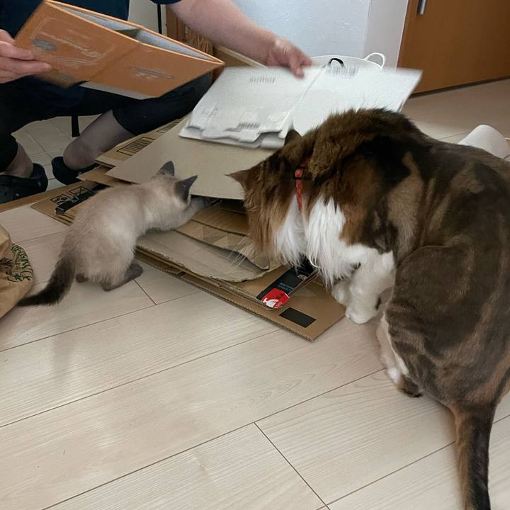 9988776d 620a 4c27 b2d5 0642215dec40 1688254632803