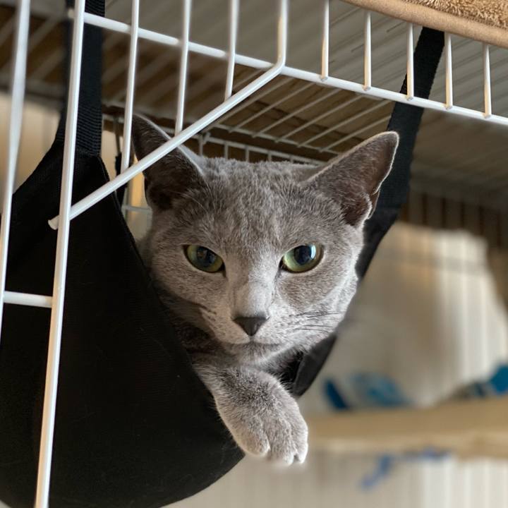 99888472 0aa2 4c44 94ba da95032b5fca 1653952536974