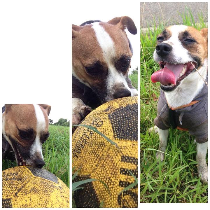 9988ccff 6ac1 41af 89c3 4e8fc22d7f28 1662167832588