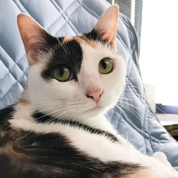 9988dd72 010f 4176 b10d 4b8e96c5cde3 1529761525564