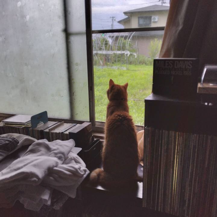 99891db7 b4d1 4359 8860 4e81dd27c6c0 1721426893449