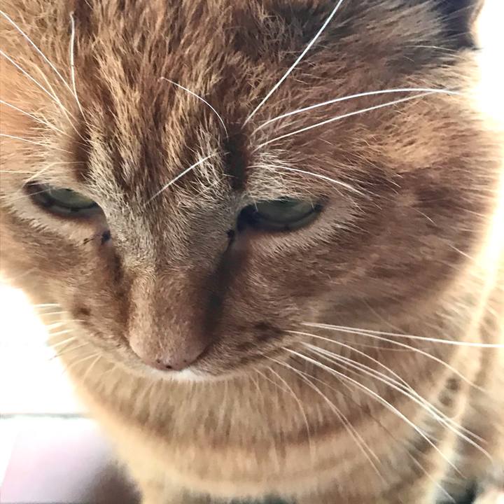 99891f8b cde3 4b62 8909 2168bc12f243 1610852594512