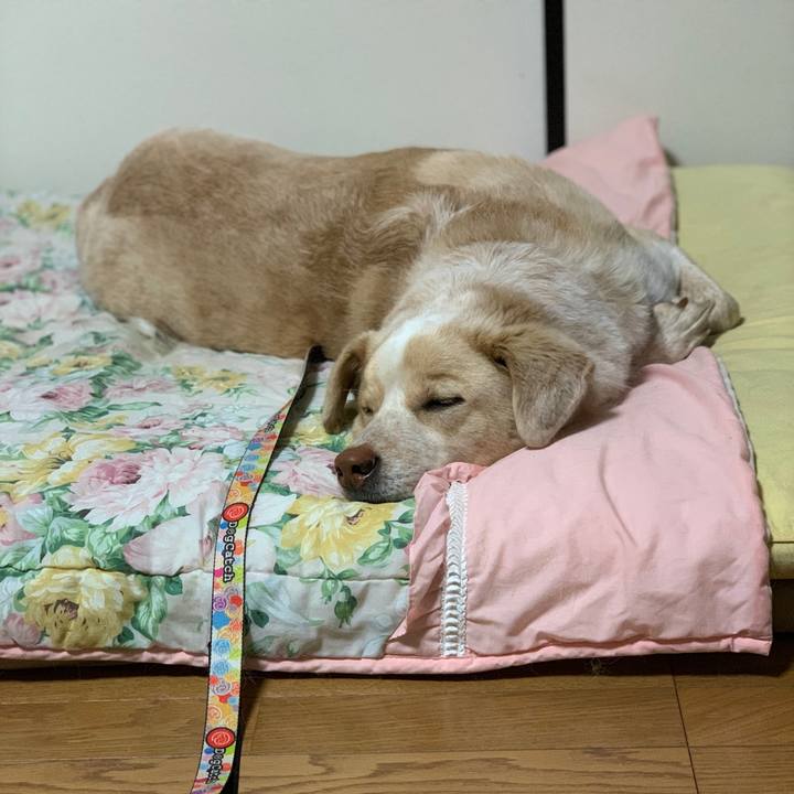 99892078 9790 4722 9b44 63e90a9dc979 1552051718968