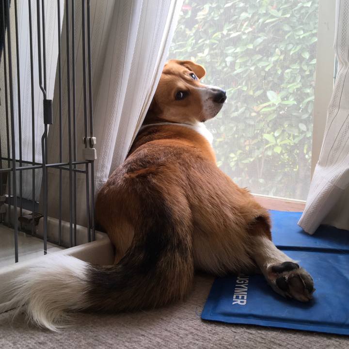 99895334 eb5a 4a42 ac1c 40b73329f894 1622461597692