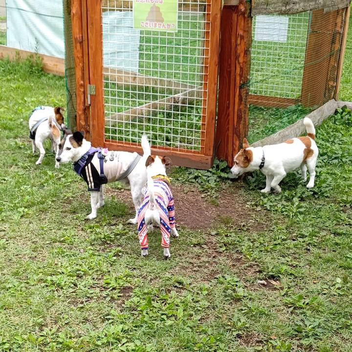 99899580 6edd 4901 b8aa 4df684ad7b55 1658110688790