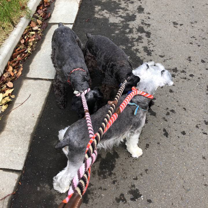 9989a3d9 5e74 47b3 833e f140626d5779 1538783047295