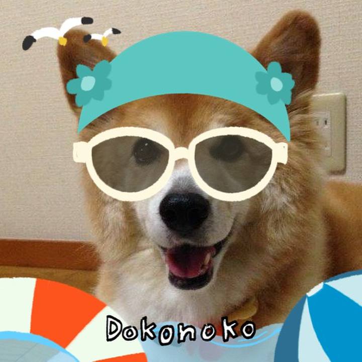 9989abc6 2bba 4304 9ee1 ffd044179812 1723338378709