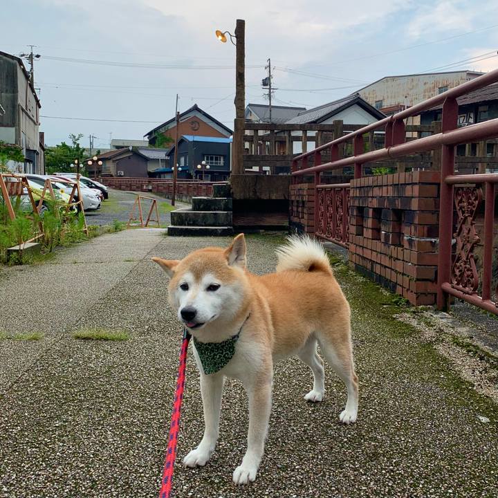 9989c877 7e26 487a a084 038c6f683836 1688987152579