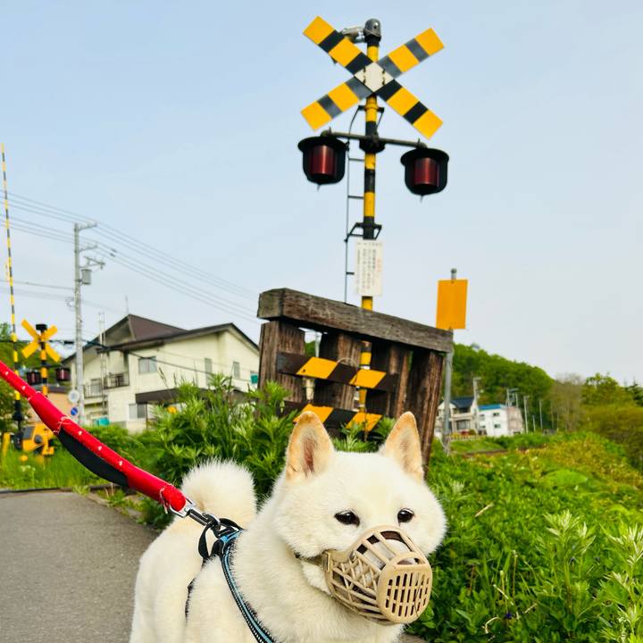 9989d14d 5299 49cc 903a 42f6c10802b8 1684704455507