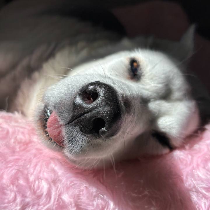 998a3f1a b000 44a7 8e2a d91980b5d068 1773460107000