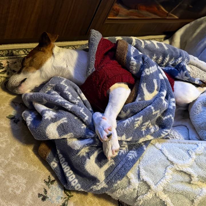 998a5e5b 9fad 447e aae5 2ff47d2e4f60 1767616215485